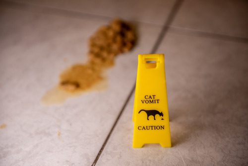 floor-sign-warning-of-cat-vomit-in-the-foreground-with-cat-vomit-in-the-background