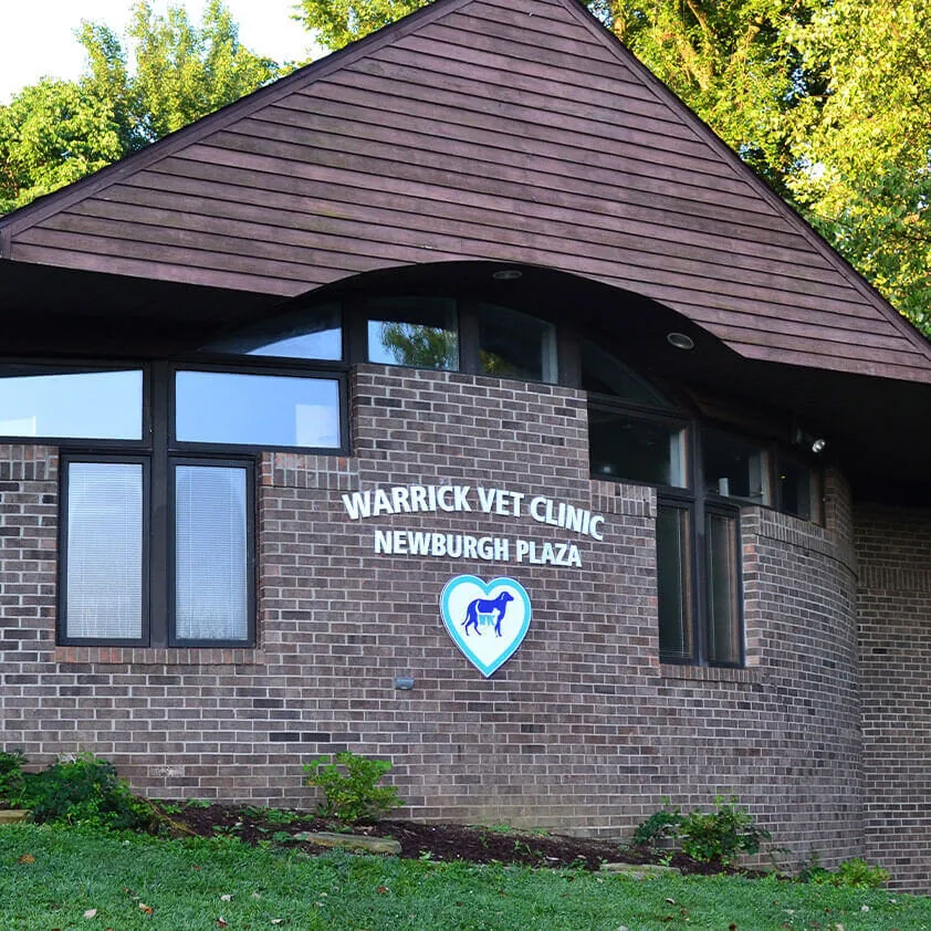 veterinarian in newburgh, in