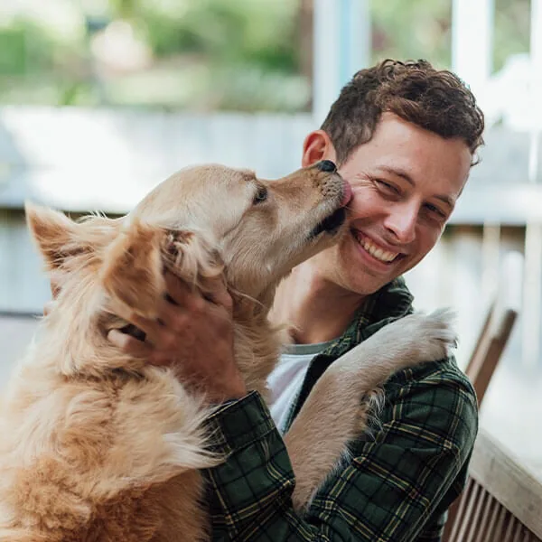 veterinarian warrick in